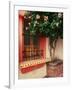 Flowering Hibiscus Near Pink Window, Puerto Vallarta, Mexico-Tom Haseltine-Framed Photographic Print