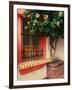 Flowering Hibiscus Near Pink Window, Puerto Vallarta, Mexico-Tom Haseltine-Framed Photographic Print