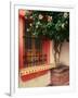 Flowering Hibiscus Near Pink Window, Puerto Vallarta, Mexico-Tom Haseltine-Framed Photographic Print