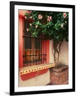 Flowering Hibiscus Near Pink Window, Puerto Vallarta, Mexico-Tom Haseltine-Framed Photographic Print