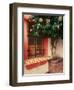 Flowering Hibiscus Near Pink Window, Puerto Vallarta, Mexico-Tom Haseltine-Framed Photographic Print