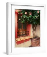 Flowering Hibiscus Near Pink Window, Puerto Vallarta, Mexico-Tom Haseltine-Framed Photographic Print