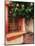 Flowering Hibiscus Near Pink Window, Puerto Vallarta, Mexico-Tom Haseltine-Mounted Photographic Print