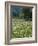 Flowering Meadow, Dandelion Clocks, Trees, Edge of the Forest-Thonig-Framed Photographic Print