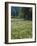 Flowering Meadow, Dandelion Clocks, Trees, Edge of the Forest-Thonig-Framed Photographic Print