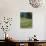 Flowering Meadow, Dandelion Clocks, Trees, Edge of the Forest-Thonig-Photographic Print displayed on a wall