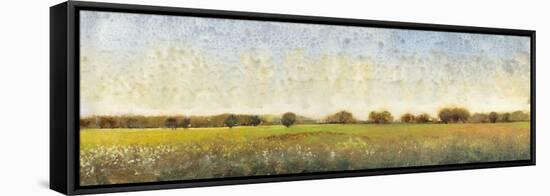 Flowering Meadow II-Tim O'toole-Framed Stretched Canvas