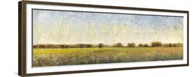 Flowering Meadow II-Tim O'toole-Framed Premium Giclee Print