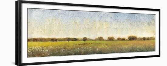 Flowering Meadow II-Tim O'toole-Framed Premium Giclee Print