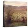 Flowering Meadow-Giuseppe Pellizza da Volpedo-Stretched Canvas