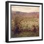 Flowering Meadow-Giuseppe Pellizza da Volpedo-Framed Giclee Print