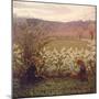 Flowering Meadow-Giuseppe Pellizza da Volpedo-Mounted Giclee Print