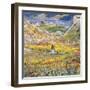 Flowering Meadows in Maloja; Bluhende Wiesen Bei Maloja, C.1912-1924 (Oil on Canvas)-Giovanni Giacometti-Framed Giclee Print