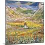 Flowering Meadows in Maloja; Bluhende Wiesen Bei Maloja, C.1912-1924 (Oil on Canvas)-Giovanni Giacometti-Mounted Giclee Print