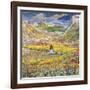 Flowering Meadows in Maloja; Bluhende Wiesen Bei Maloja, C.1912-1924 (Oil on Canvas)-Giovanni Giacometti-Framed Giclee Print