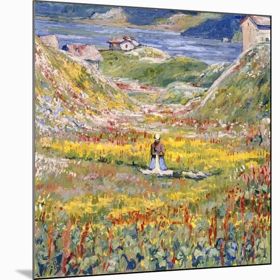 Flowering Meadows in Maloja; Bluhende Wiesen Bei Maloja, C.1912-1924 (Oil on Canvas)-Giovanni Giacometti-Mounted Giclee Print
