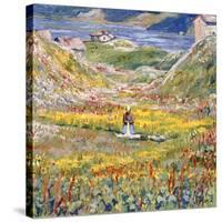 Flowering Meadows in Maloja; Bluhende Wiesen Bei Maloja, C.1912-1924 (Oil on Canvas)-Giovanni Giacometti-Stretched Canvas