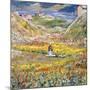 Flowering Meadows in Maloja; Bluhende Wiesen Bei Maloja, C.1912-1924 (Oil on Canvas)-Giovanni Giacometti-Mounted Giclee Print