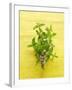 Flowering Mint Sprig-Anthony Lanneretonne-Framed Photographic Print