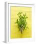 Flowering Mint Sprig-Anthony Lanneretonne-Framed Photographic Print