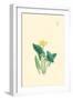 Flowering Plant-Megata Morikaga-Framed Art Print