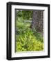 Flowering plants and textures growing around a large tree trunk in a garden.-Julie Eggers-Framed Photographic Print