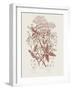 Flowering Plants I Brown Crop-Wild Apple Portfolio-Framed Art Print