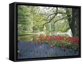 Flowering Plants in a Garden-null-Framed Stretched Canvas