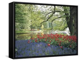 Flowering Plants in a Garden-null-Framed Stretched Canvas