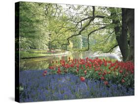 Flowering Plants in a Garden-null-Stretched Canvas
