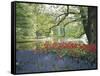 Flowering Plants in a Garden-null-Framed Stretched Canvas