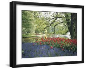 Flowering Plants in a Garden-null-Framed Photographic Print