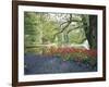 Flowering Plants in a Garden-null-Framed Photographic Print