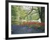 Flowering Plants in a Garden-null-Framed Photographic Print