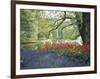 Flowering Plants in a Garden-null-Framed Photographic Print