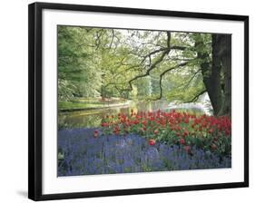 Flowering Plants in a Garden-null-Framed Photographic Print