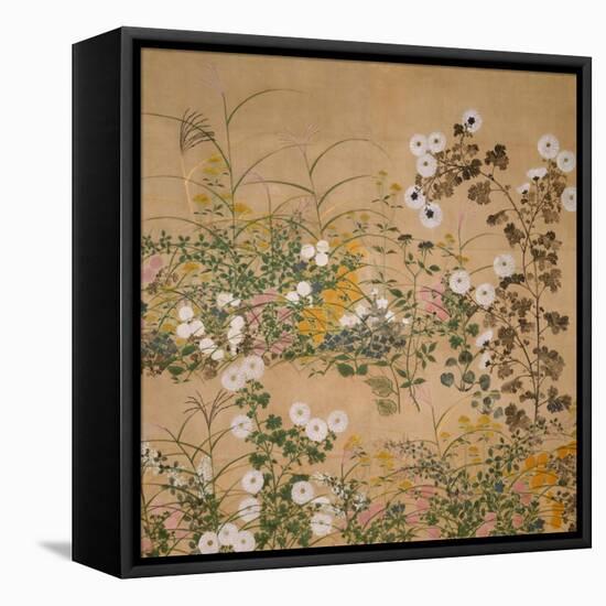 Flowering Plants in Autumn, 18th Century-Ogata Korin-Framed Stretched Canvas
