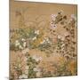 Flowering Plants in Autumn, 18th Century-Ogata Korin-Mounted Giclee Print