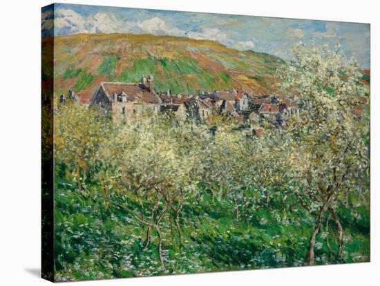 Flowering Plum Trees, 1879-Claude Monet-Stretched Canvas