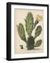 Flowering Prickly Pear Cactus, 1683-Herman Saftleven-Framed Art Print