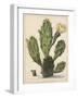 Flowering Prickly Pear Cactus, 1683-Herman Saftleven-Framed Art Print