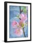Flowering Quince I-Kathy Mahan-Framed Photographic Print