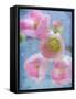 Flowering Quince II-Kathy Mahan-Framed Stretched Canvas