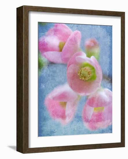 Flowering Quince II-Kathy Mahan-Framed Photographic Print