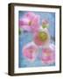 Flowering Quince II-Kathy Mahan-Framed Photographic Print