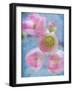 Flowering Quince II-Kathy Mahan-Framed Photographic Print