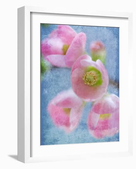 Flowering Quince II-Kathy Mahan-Framed Photographic Print