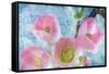 Flowering Quince IV-Kathy Mahan-Framed Stretched Canvas