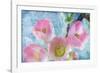 Flowering Quince IV-Kathy Mahan-Framed Photographic Print