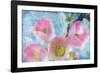 Flowering Quince IV-Kathy Mahan-Framed Photographic Print